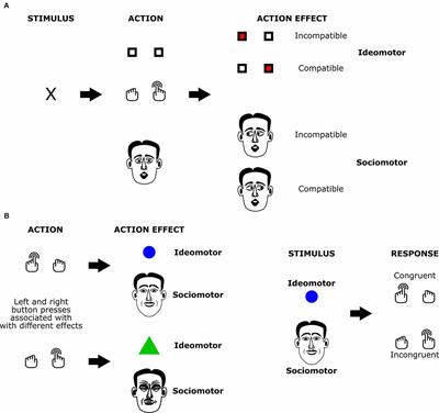 Social Action Effects: Representing Predicted Partner Responses in Social Interactions